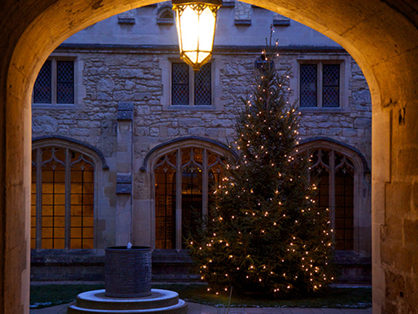 Lantern-led Festive Guided Tour