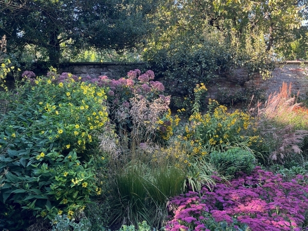 An image of the flower beds during summer at The Bishop's Palace.