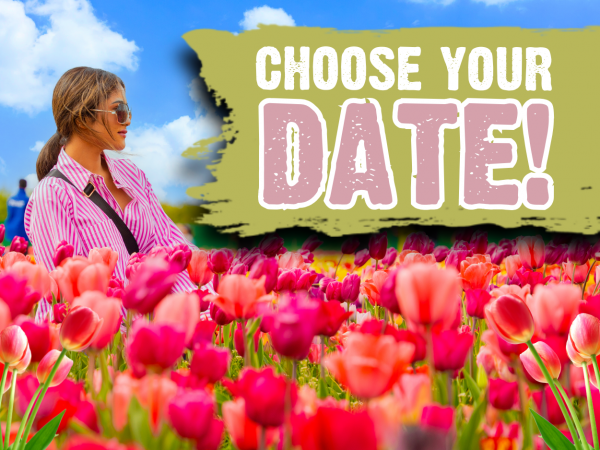 Tulips Tulip Garden Warwickshire 2026