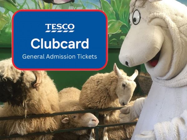 The BIG Egg Hunt 3rd - 6th April Tesco Admission