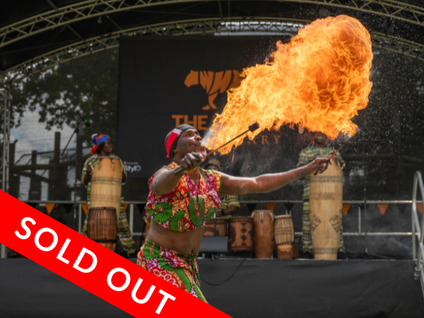 Big Cat Fest - Saturday 8th August