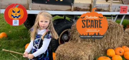 23rd OCTOBER - 3rd NOVEMBER - Cholderton Scare Breeds Farm 2024