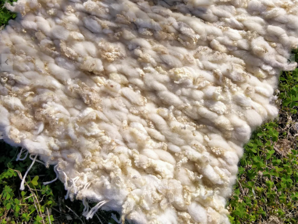 Peg Loom Weaving Workshop with Sophie Heywood