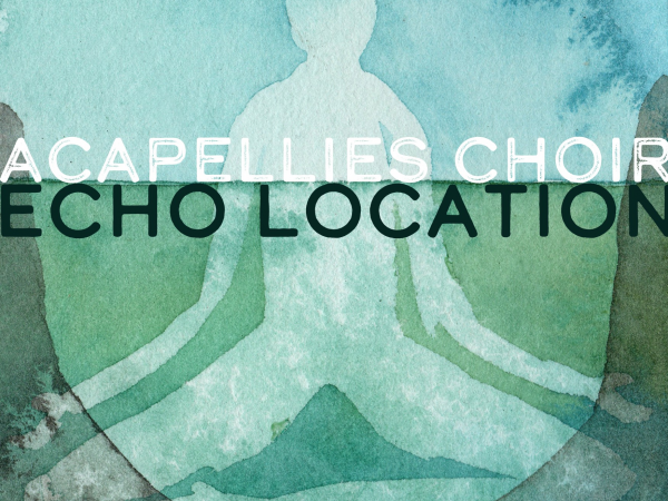 Acapellies Choir: Echo Location at Woodchester Mansion - 5th June
