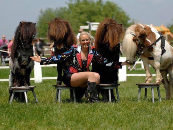 Pony Parade Weekend (21st and 22nd June)