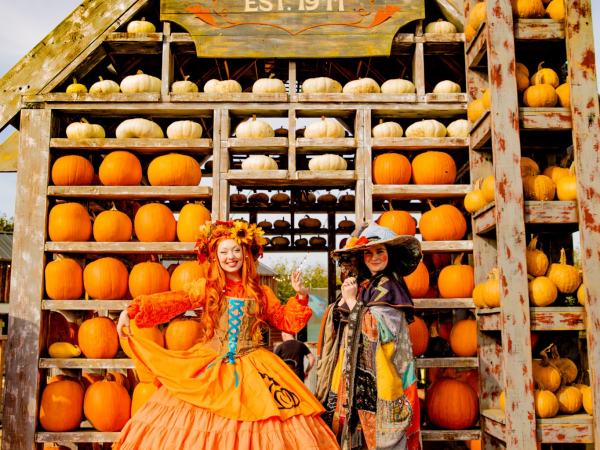 DAYTIME PUMPKIN FESTIVAL 2025