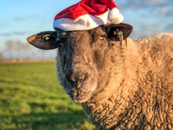 Little Festive Farmers