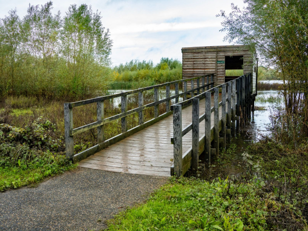 Workshop: Freshwater Exploration