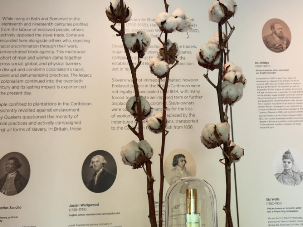 To Slowly Catch the Scent