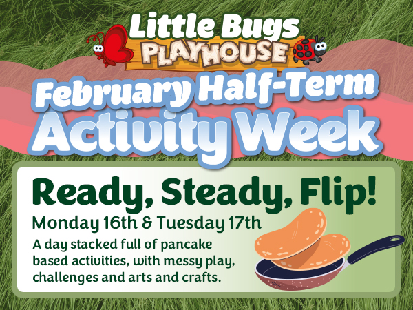 Brigg Ready, Steady, Flip!