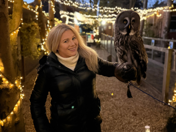 Exclusive Owls by Candlelight