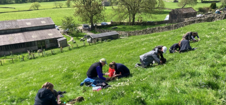 Identifying & Recording Earthworms Workshop (3 day course)