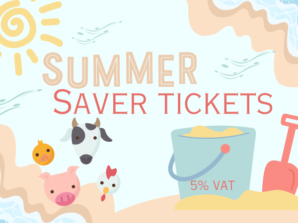 Summer Saver 5%