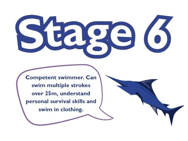Stage 6 - Crash Courses