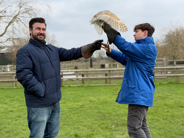 Half day Bird of Prey Experience