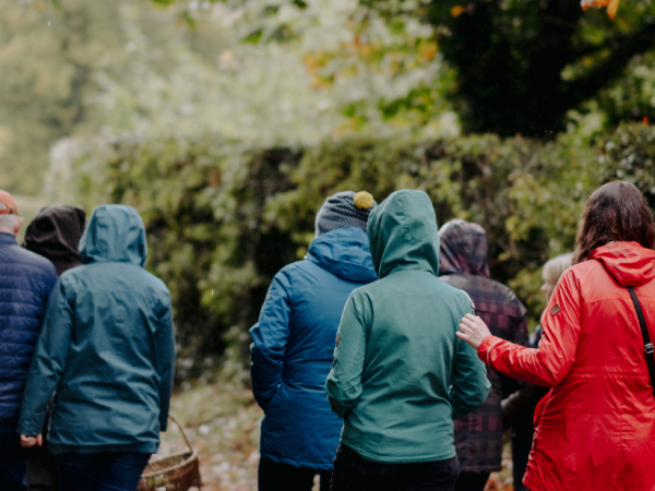 Fungi Identification Workshop