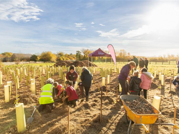 Wetland Arc Project: Community Tree Planting