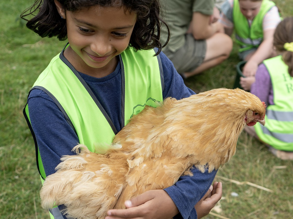 Heligan Rangers: Rare Breed Farm Park