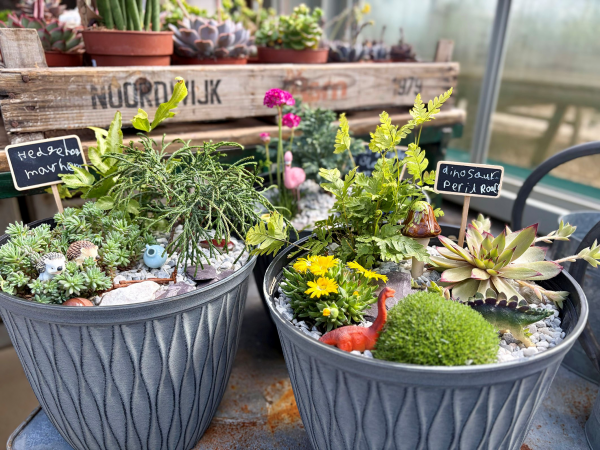 Children’s Imagination Garden Planter Workshop - 26th May 2-3pm