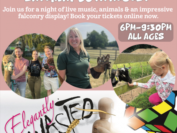 Summer Night Live (30th August)
