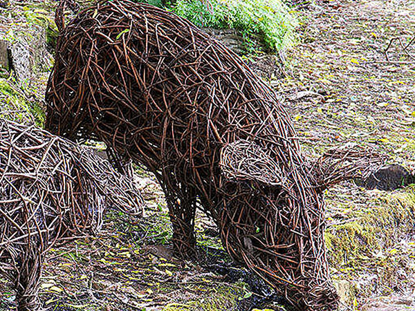 Pig Willow Weaving with Emma Stothard 2025