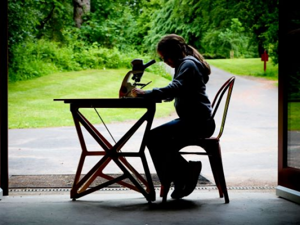 STEM Summer Workshops - pH and Pigments: Unlocking Nature's Secrets