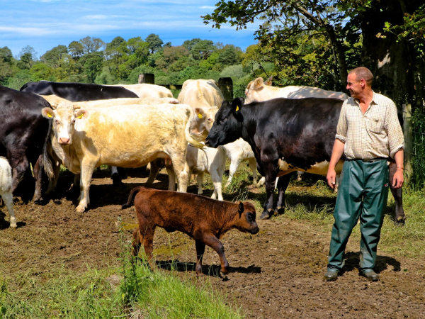 Farming and Rural Skills Workshops (14+) - Spring/Summer 2026