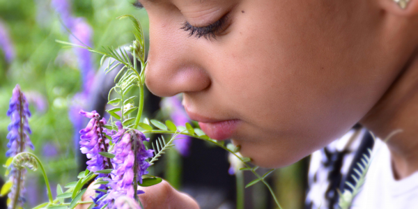 May Half Term Workshops: Scent Event