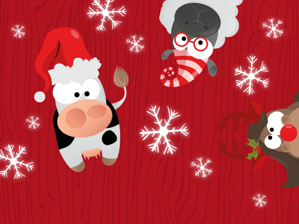 Magical Christmas Experience 2025