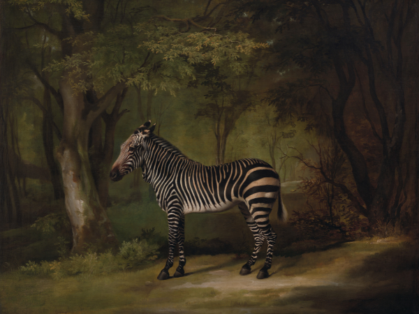 George Stubbs and the Tyrants of the Jungle