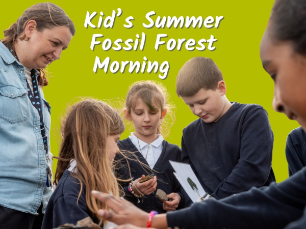 Summer Kids Fossil Forest Morning