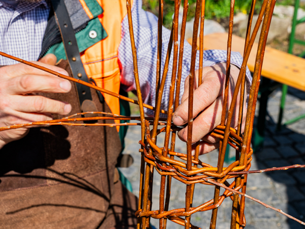 Willow Weaving - Plant Support, Yarnton 22nd May