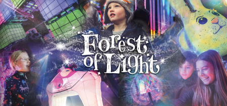 Forest of Light 2024