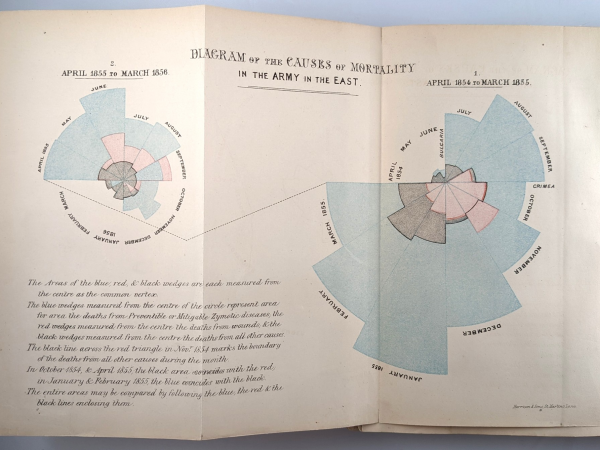 Free Zoom: God’s Revenge Upon Murder: Florence Nightingale's Mortality and Health Diagrams