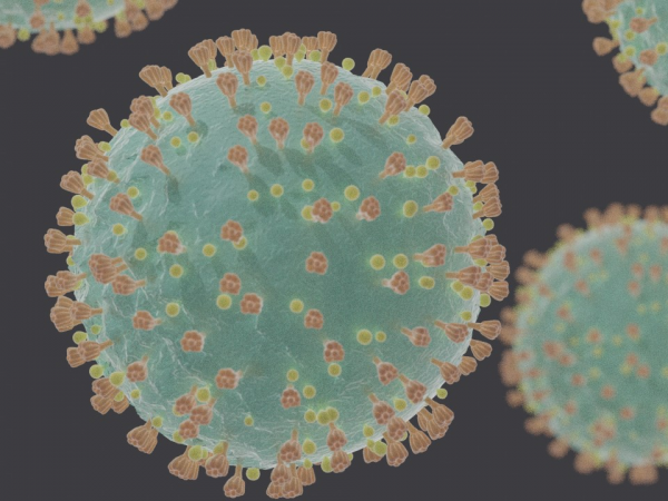 Zoom: 'Can we do better? Lessons Learned from Pandemic Response for Future Resiliency'