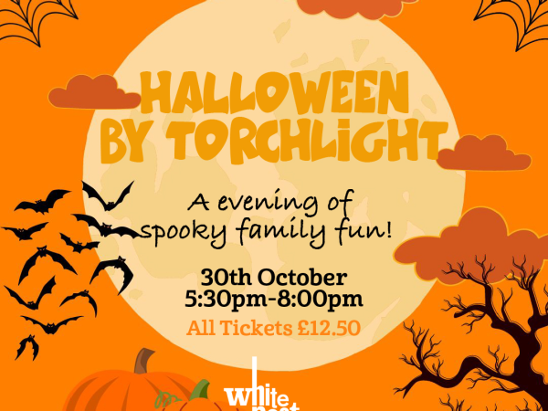 Halloween by Torchlight 2026