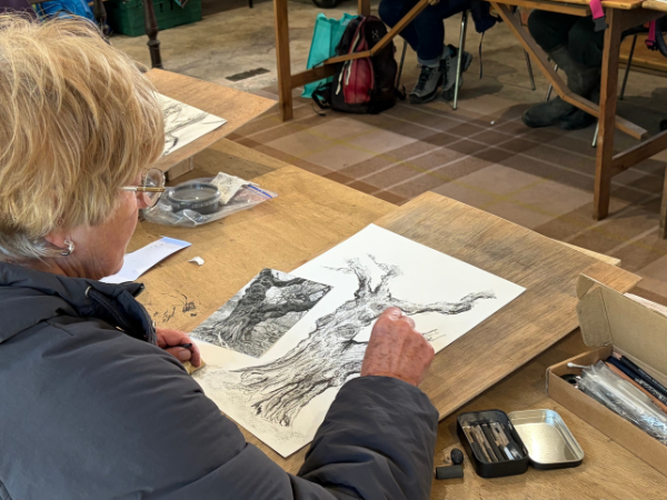 Art Workshop: Drawing Trees in Charcoal