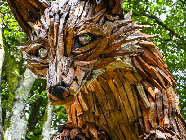 Heligan Rangers: Sculpting Stories