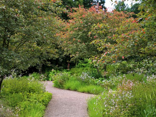 Seasonal Shifts: Autumn Tasks for a Thriving Garden