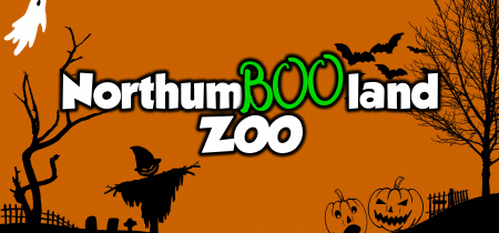 NorthumBOOland Zoo