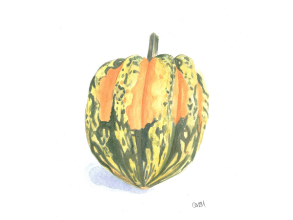 2027 Workshop: Watercolour Autumnal Veg