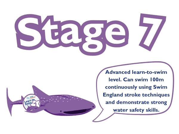 Stage 7 - Crash Courses