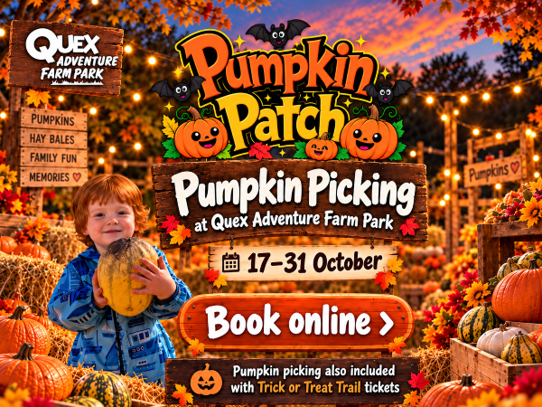 Pumpkin Picking & Farm Park Access