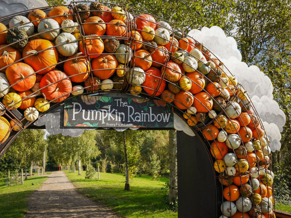 Halloween Trail at Discovery Land