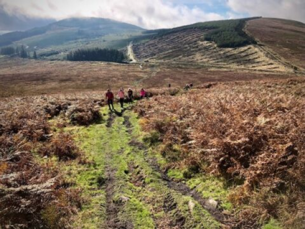 B Walk – Walk 13 – South Blackstairs Ridge: Drummond to Knockmulgurry