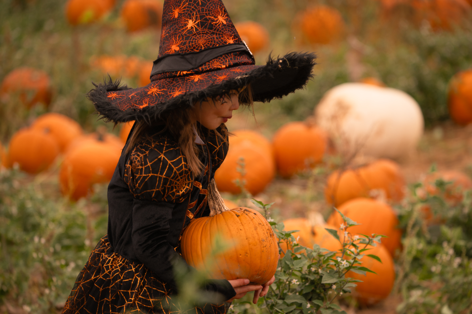 Rogatade Buy The Rogate Pumpkin Patch and SMASH! Event 2026 Tickets online ...