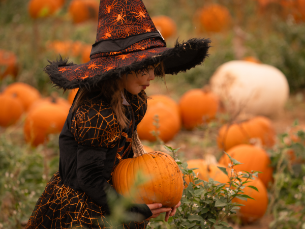 The Rogate Pumpkin Patch and SMASH! Event 2026