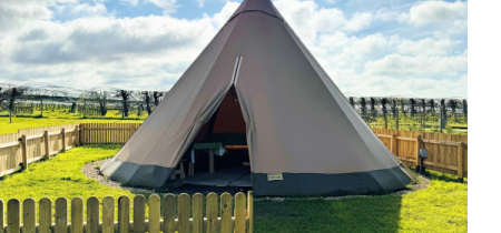 Sprouts Tepee Party