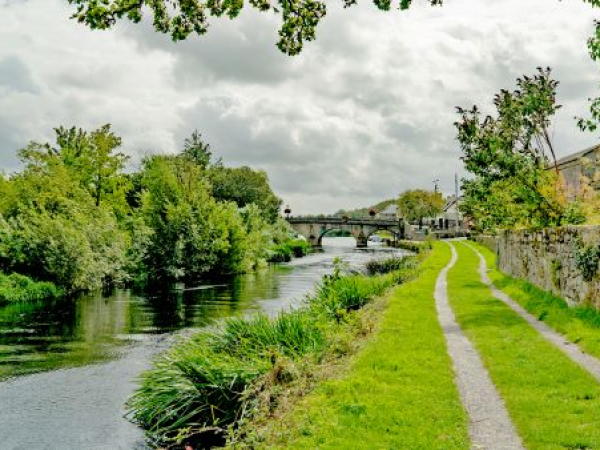 Fiann Ó Nualláin in Leighlinbridge – The Garden Village