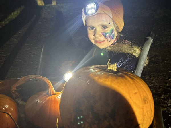 Pumpkins After Dark